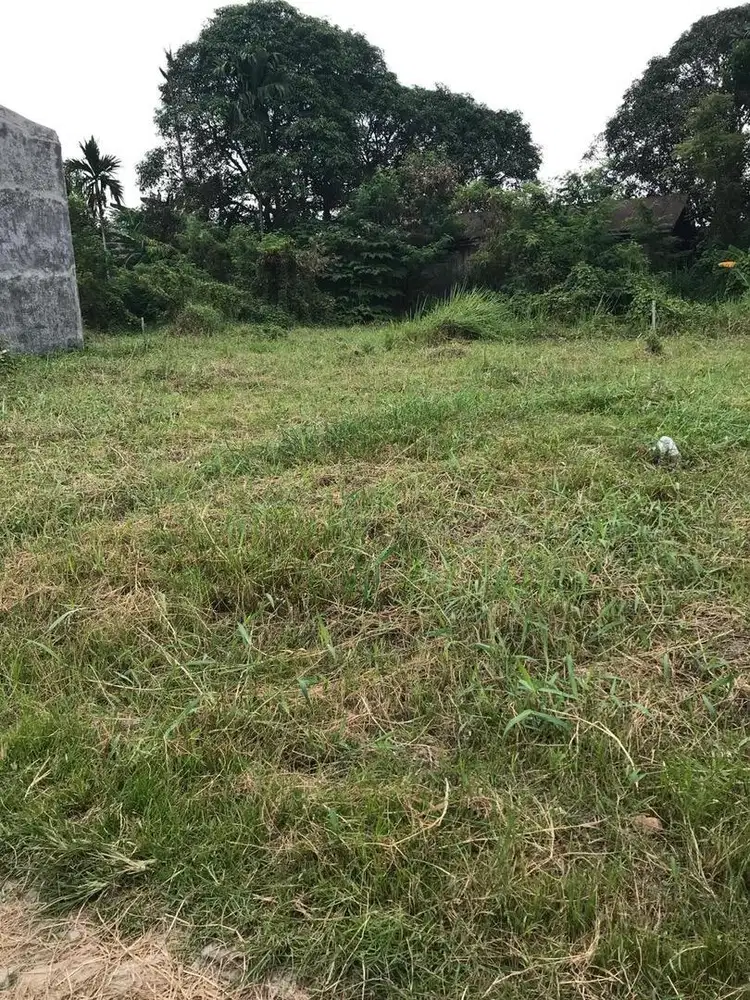 DIJUAL TANAH UKURAN 14x12 SHM