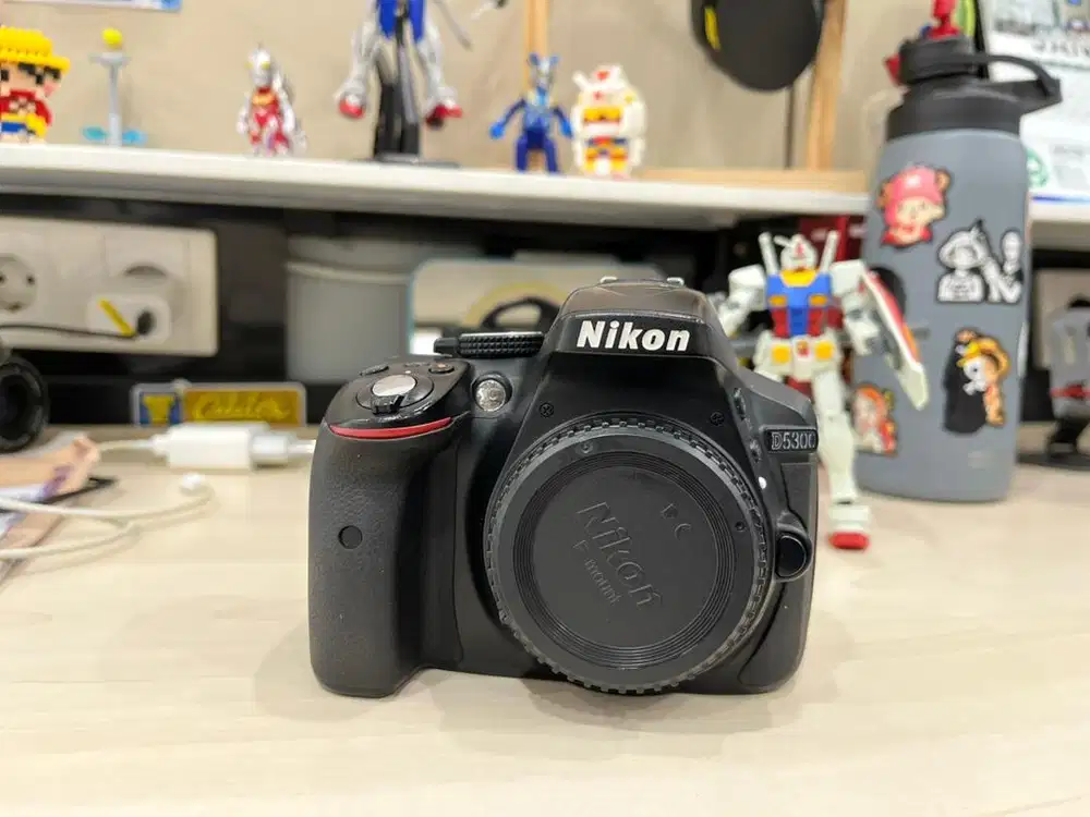 Nikon D5300 & lensa sapu jagat