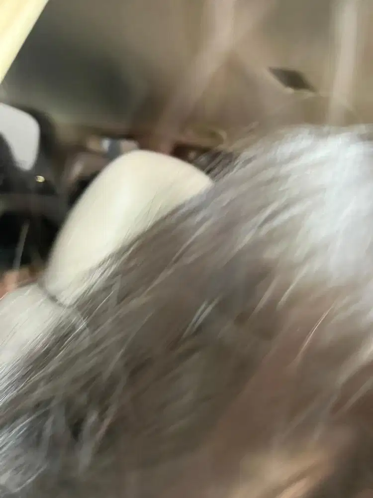 ART serabutan pulang pergi masak