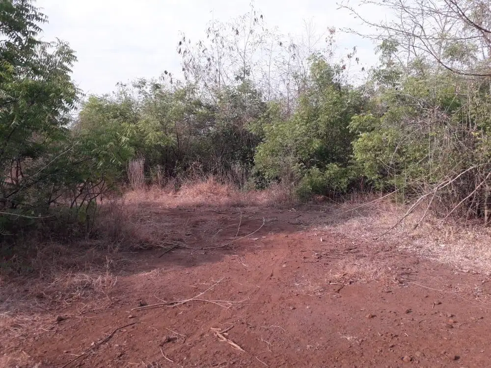 Murah Tanah 1,5 Hektar