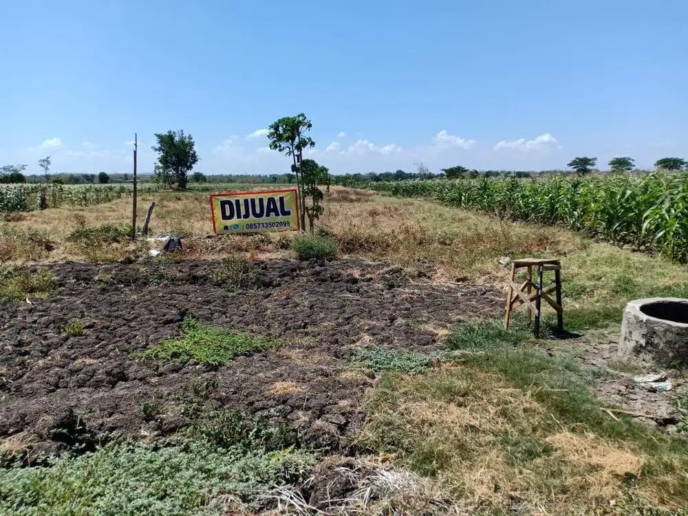 Sawah produktif murah