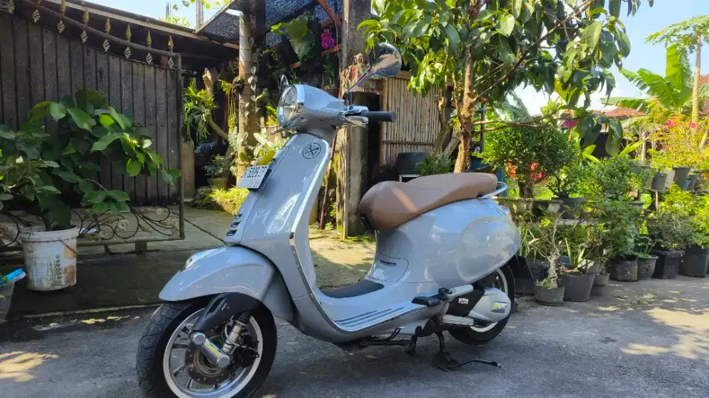 Primavera 2023 mulus