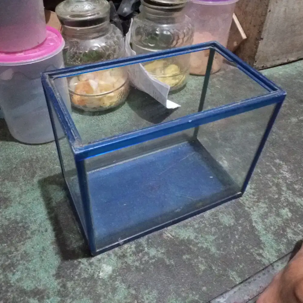 Akuarium ikan 18×30