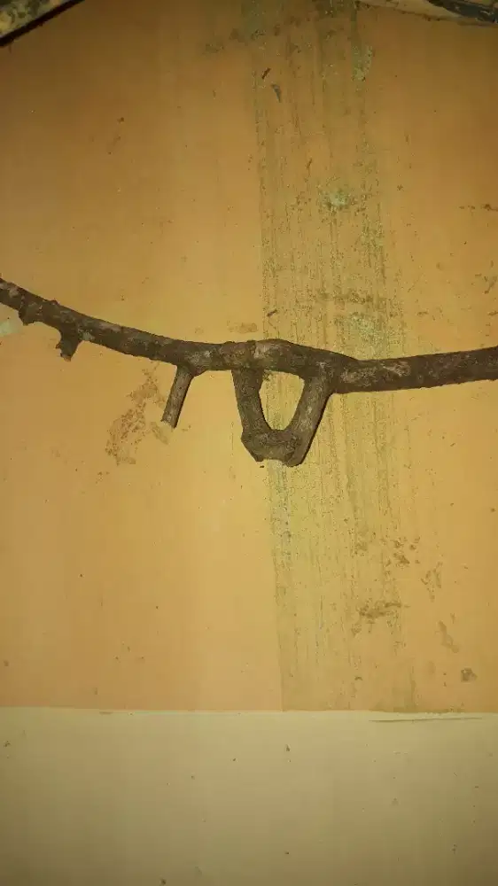 Kayu kurung bawaan alam