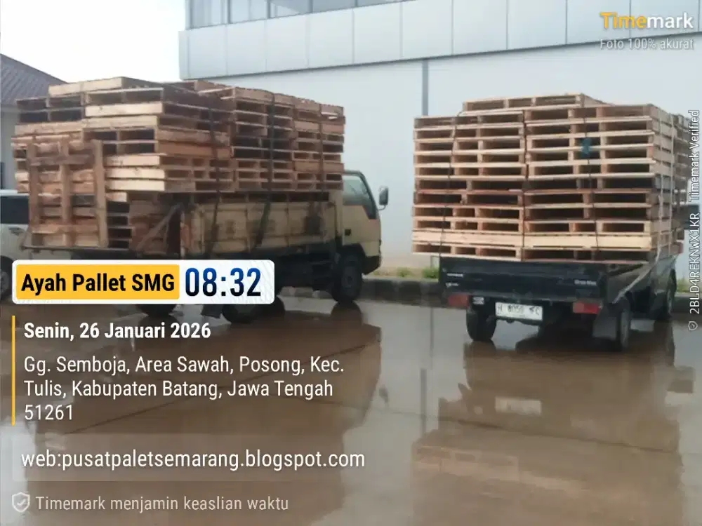 Palet kayu semarang