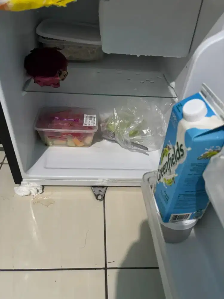 Kulkas mini kualitas bagus