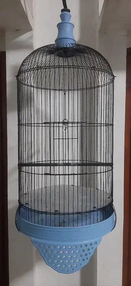 Sangkar besi lovebird