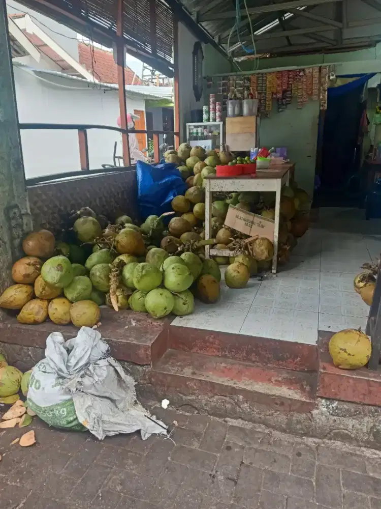 Lowongan Kerja Kelapa Muda Penempatan Yogyakarta