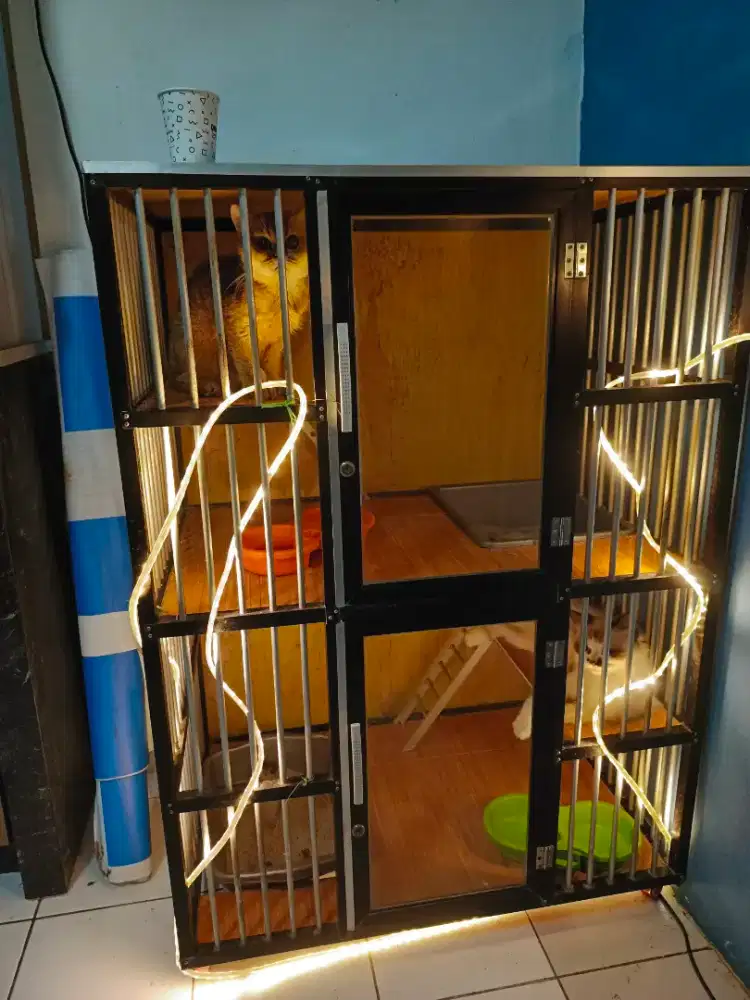 Kandang kucing 2 tingkat