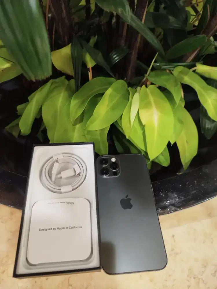 Iphone 12 pro 128gb fakta baru