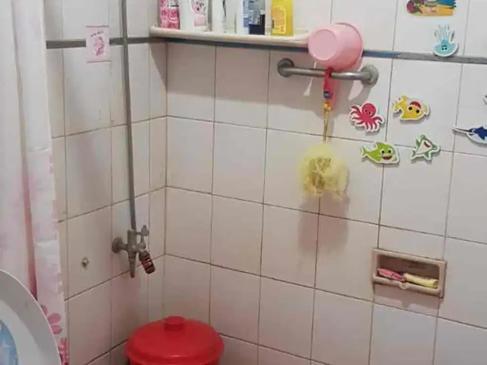 DIJUAL Tanah di Petojo Selatan jalan biak beli tanah bonus rumah. sekitar ITC roxy mas