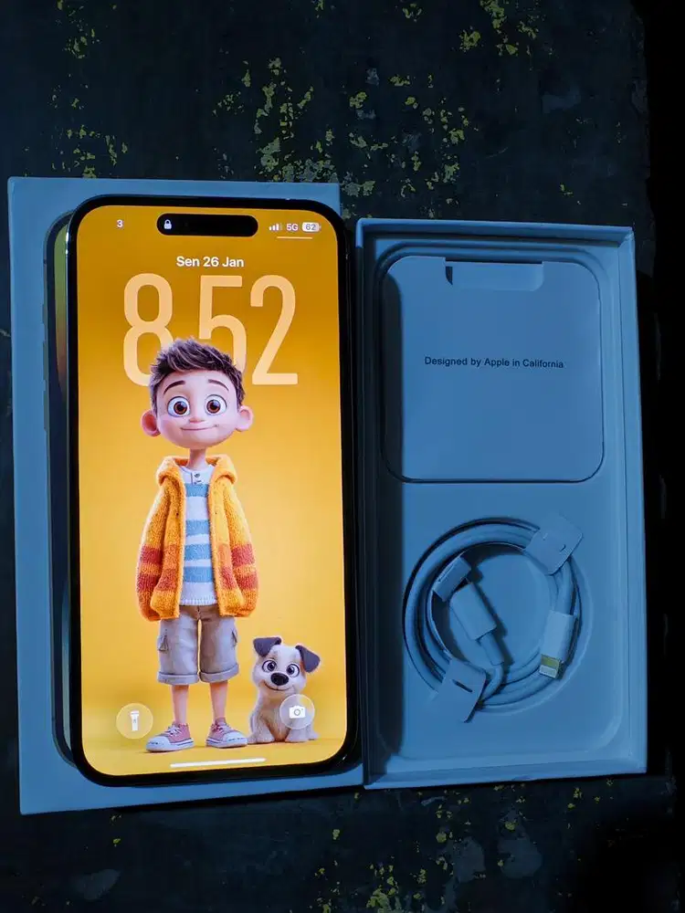 iphone 14 promax 256 dual sim