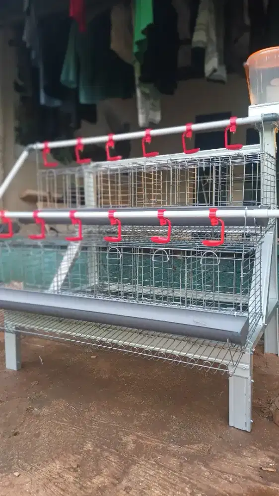 Kandang ayam galvanis