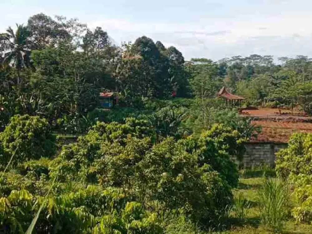 Di jual tanah Timur BCA Palur solo