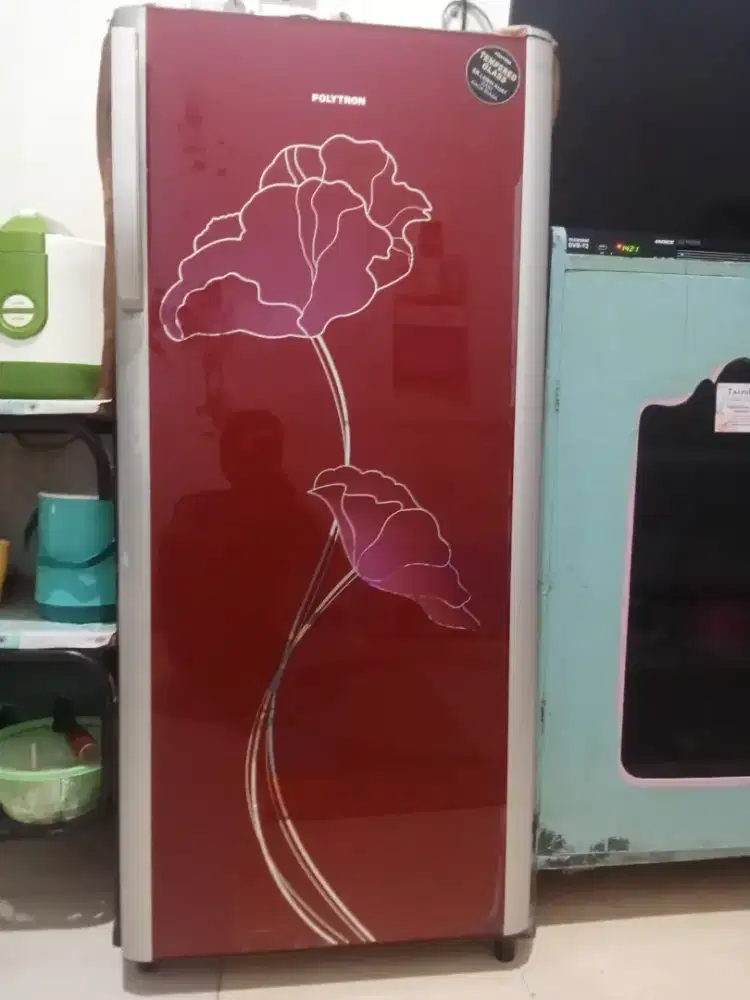 kulkas Polytron 1 pintu