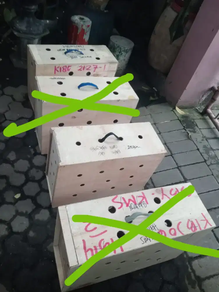 Box untuk pengiriman ayam