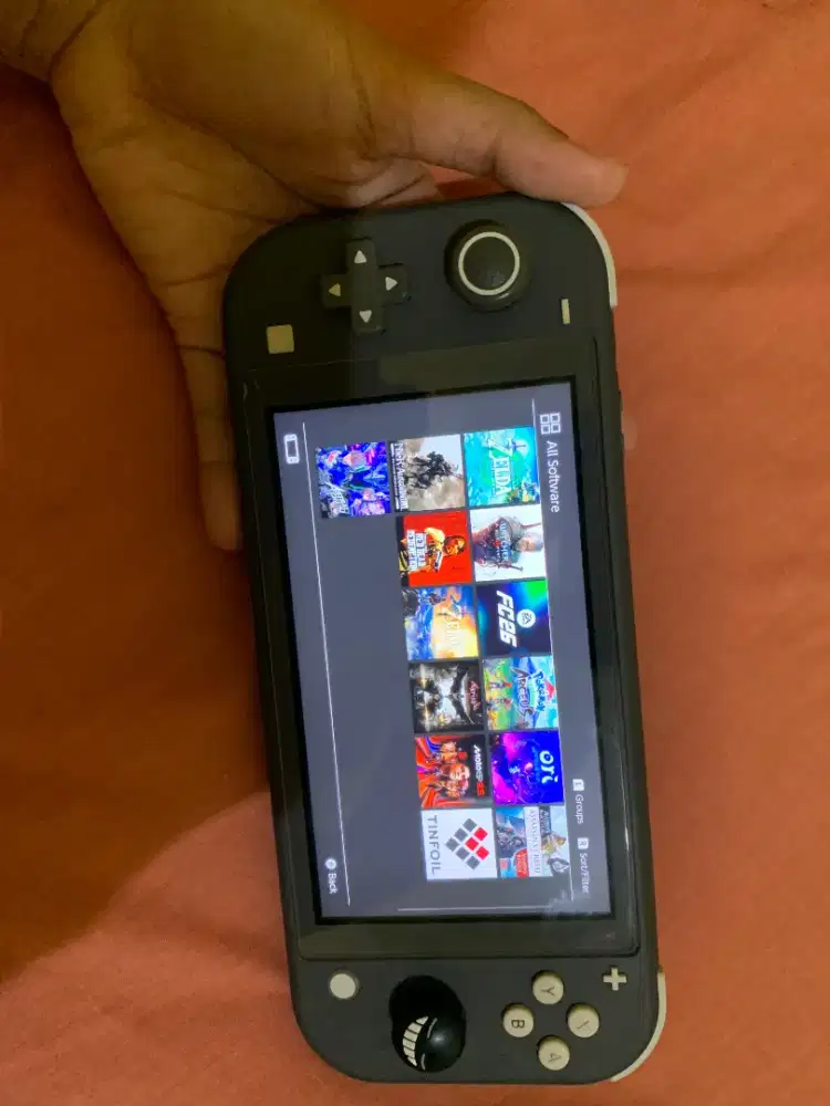 Nintendo switch lite ce ef we 2024