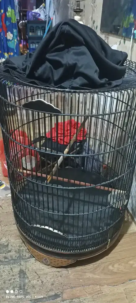 Kandang murai Ebod no 2