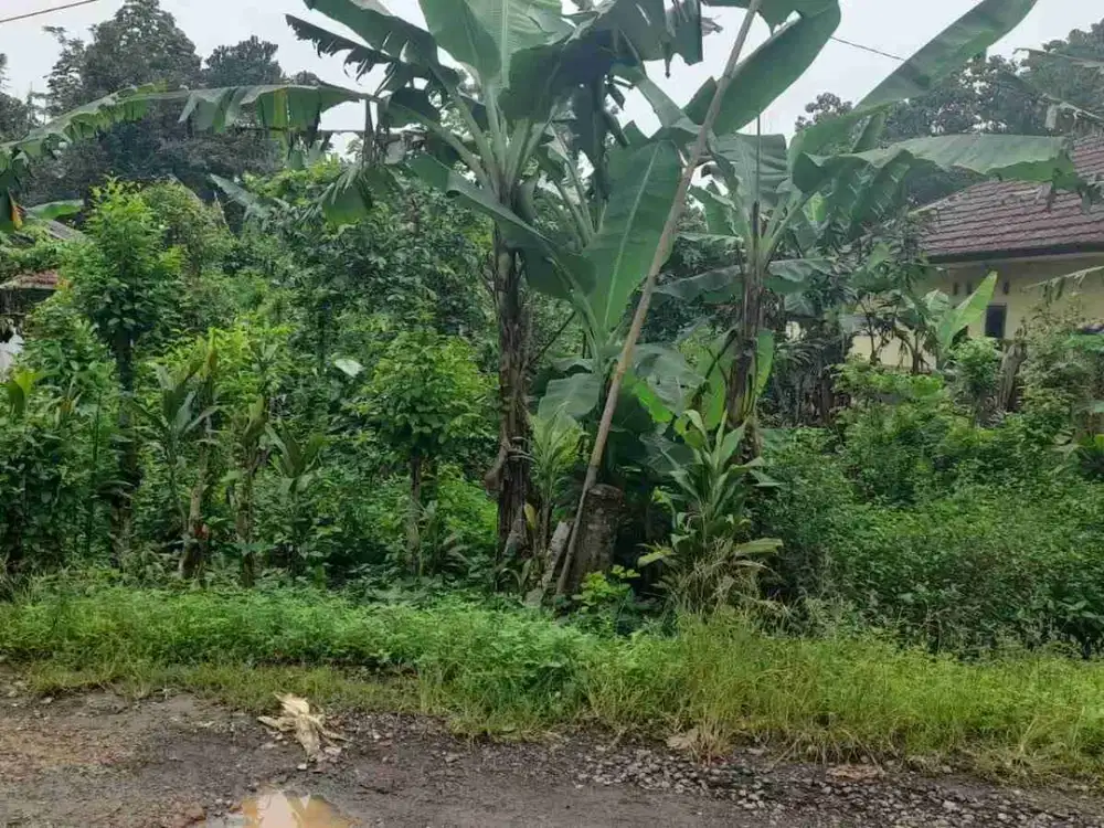 Jual tanah dekt byd subang