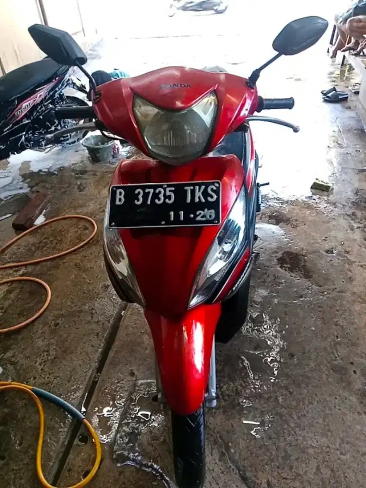 spacy 2011 pajek mati 2 tahun