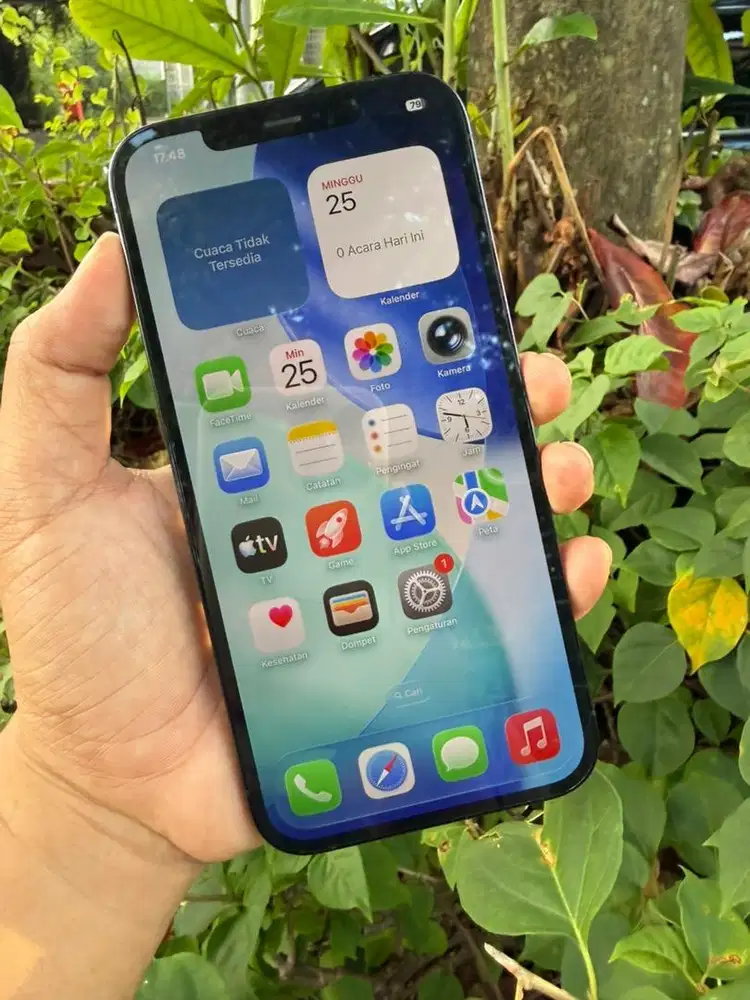 iPhone 12 pro max 256gb ibox