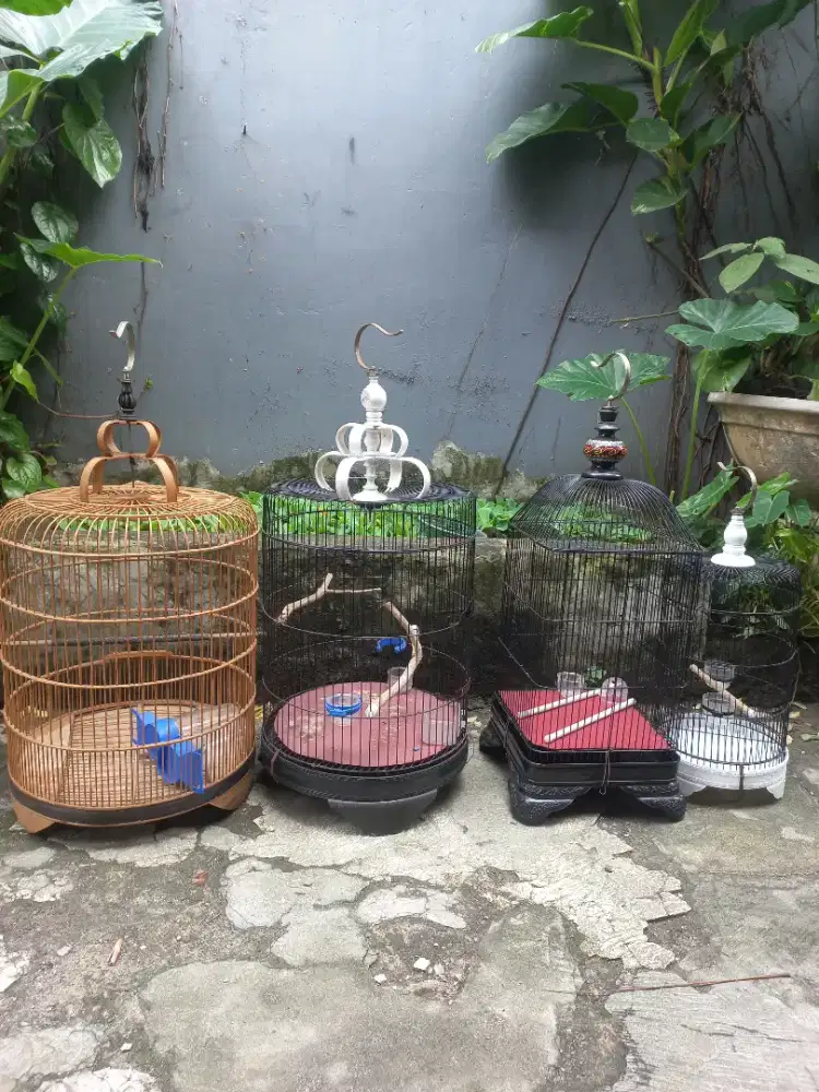 Borongan 4 kandang burung