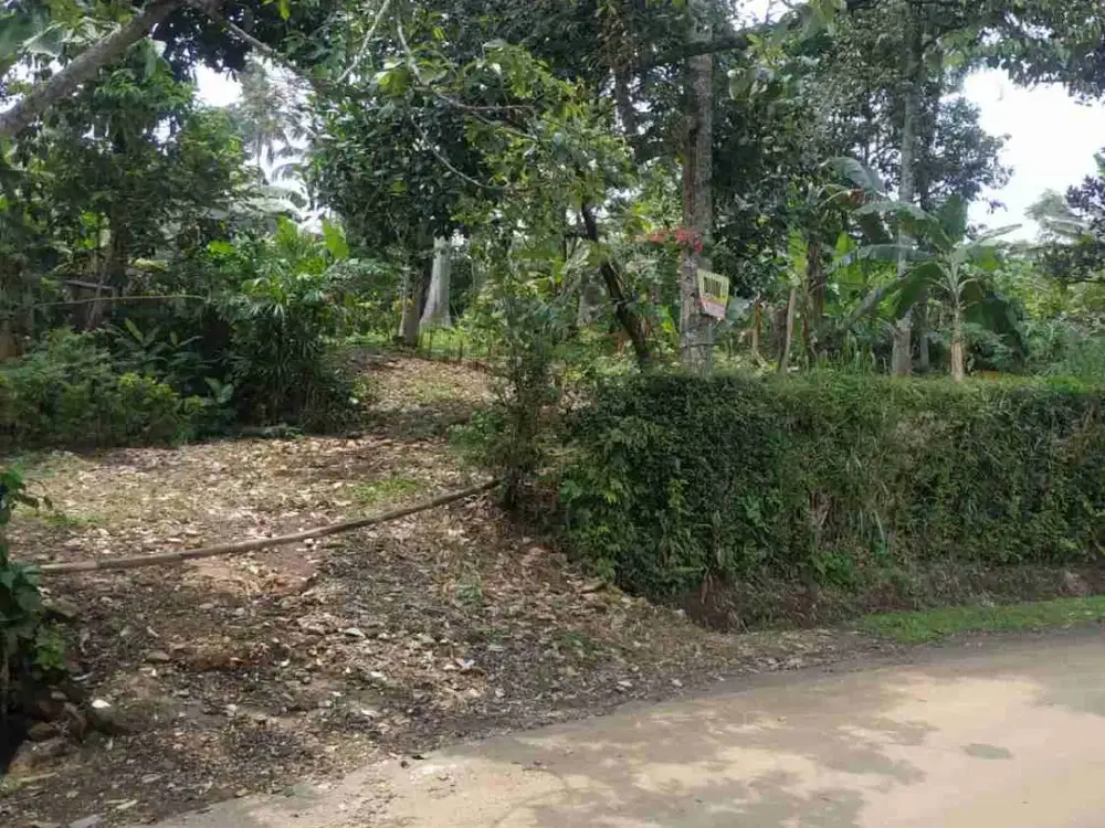 Dijual Tanah Datar Asri di pinggir jln raya desa cijeruk