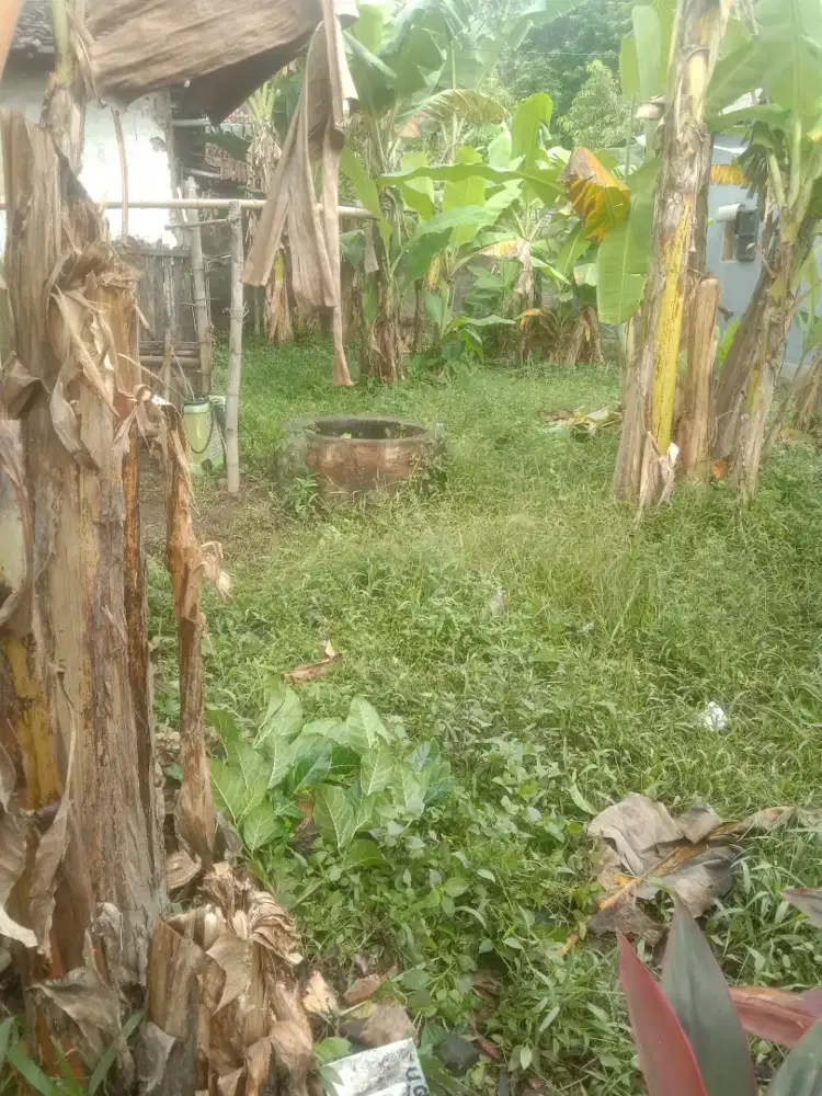 Jual tanah pekarangan tengah kampung bisa nego