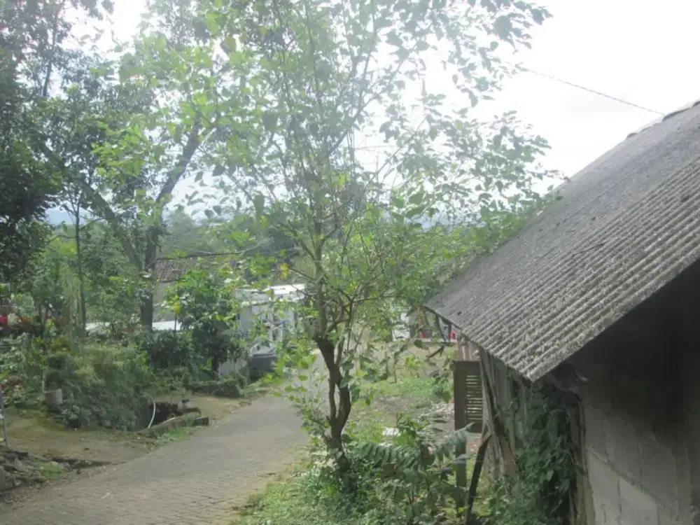 Tanah Dayurejo Prigen Pasuruan Dekat Wisata