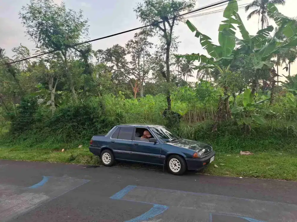 Dijual tanah di lawang malang cocok untuk usaha pertanian atau perkebunan