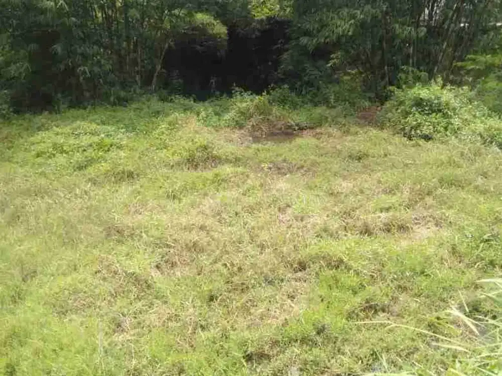 Dijual tanah di wagir malang cocok untuk usaha pertanian