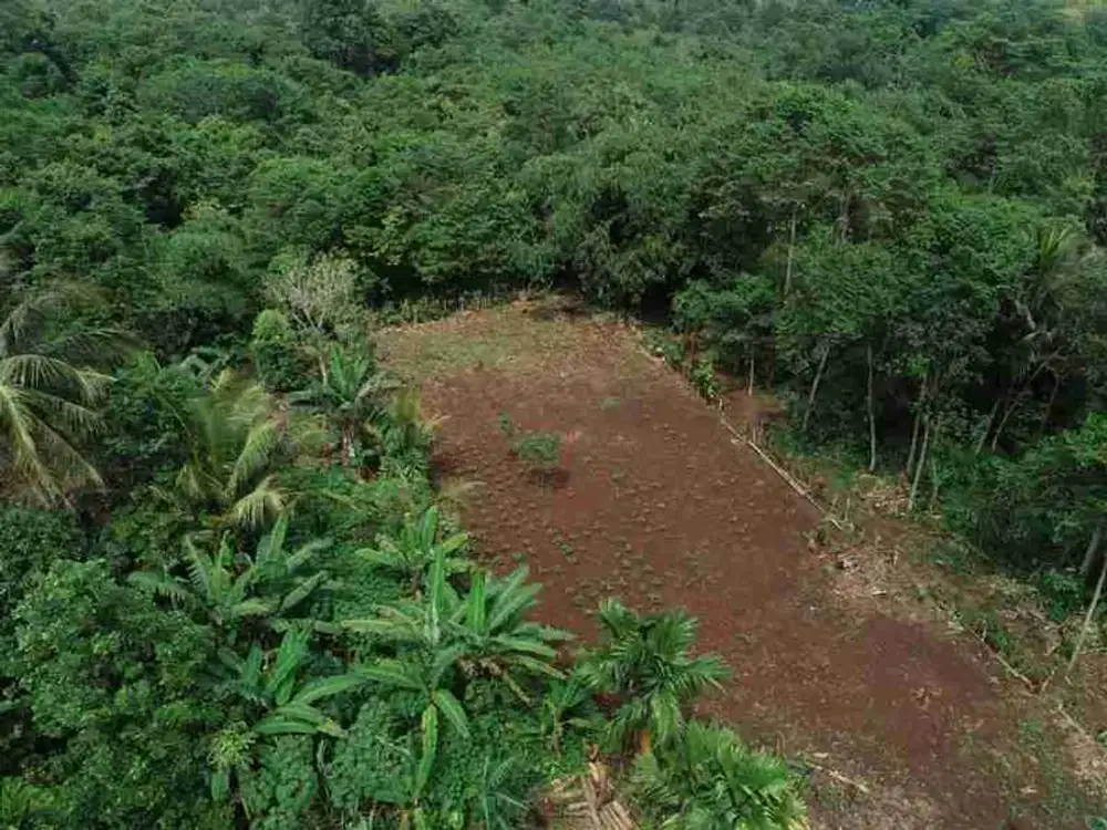 Tanah Kavling 5 Menit ke Bela Negara Rumpin Bonus Design Rumah