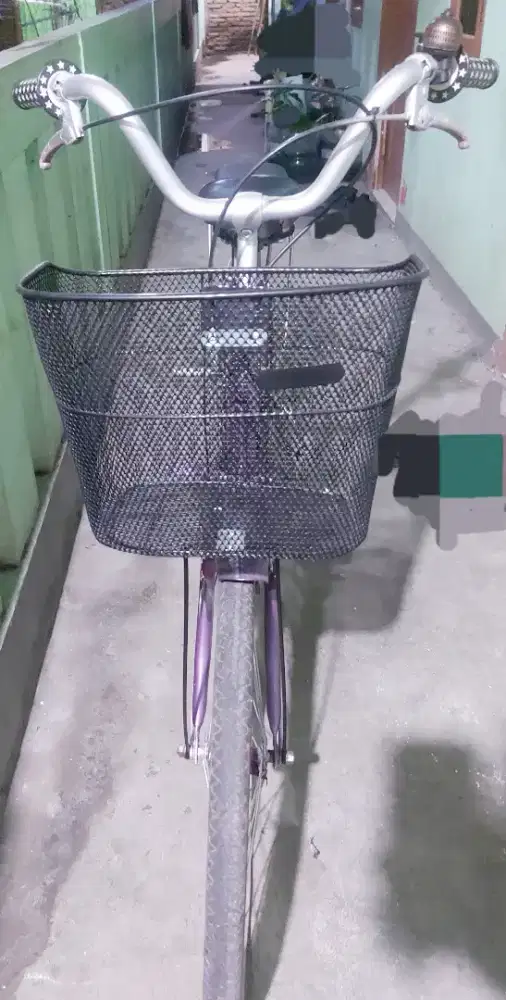Bissmilllah ,, di jual sepeda keranjang merk exotic ,,