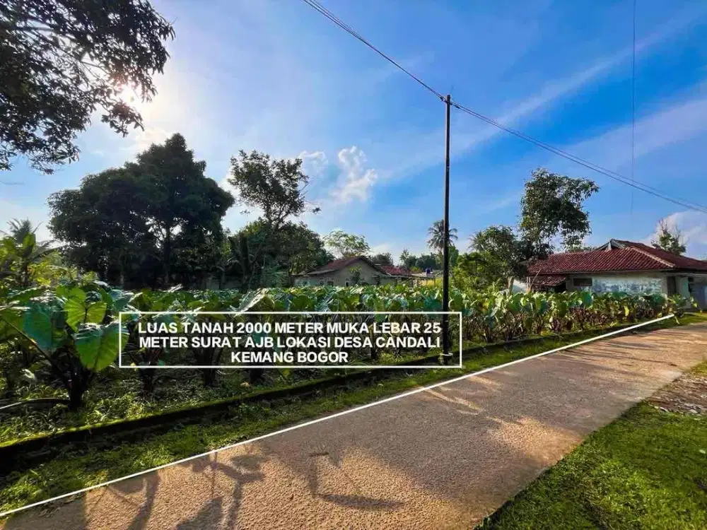 TANAH MURAH DAN STRATEGIS DI DESA CANDALI KEMANG BOGOR