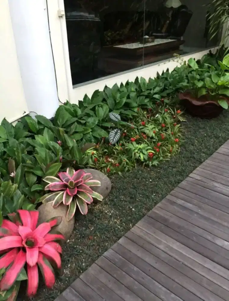 Jasa pembuatan taman minimalis taman