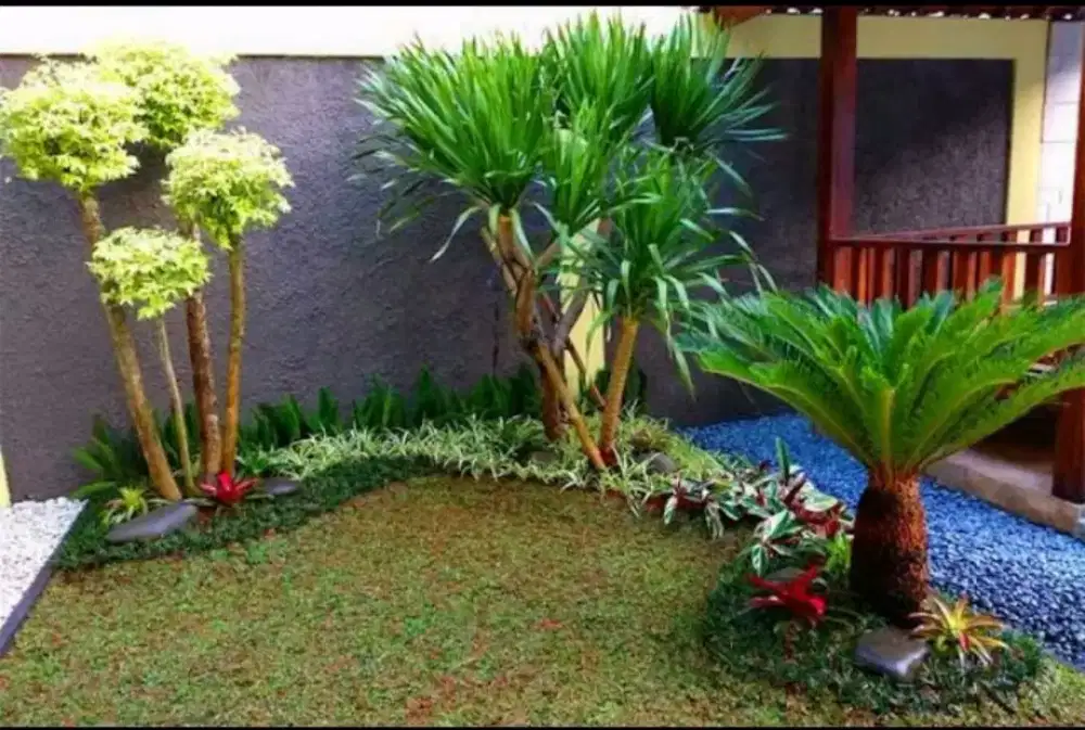 Taman minimalis taman rumah outdor