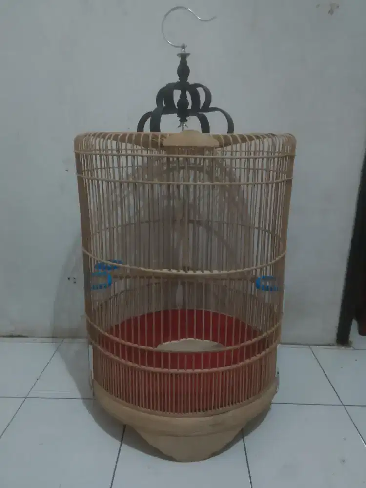 sangkar murai mentahan halusan no3 pondok cabe