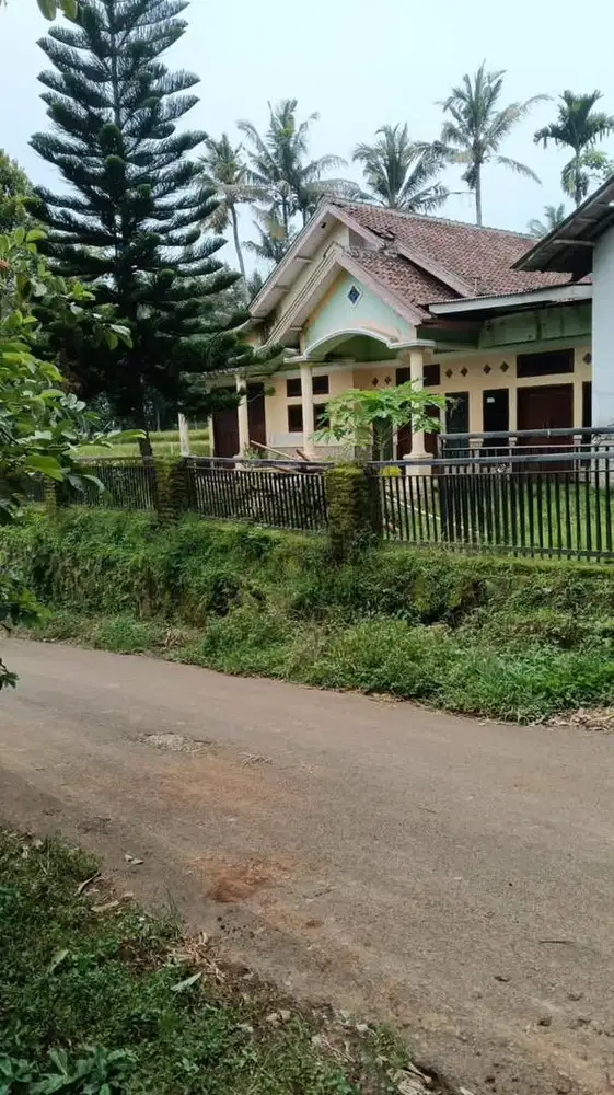 Tanah bonus Ruman dan Kebun