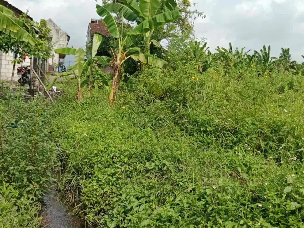 Dijual Tanah Pandelegan Pandaan Cocok Untuk Rumah Kos atau Gudang dekat Pabrik dan Kawasan Industri