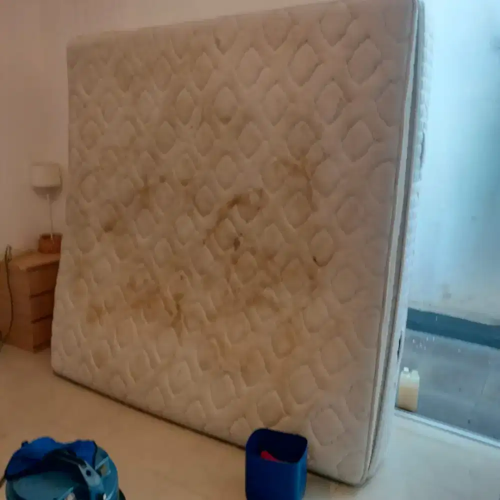 Jasa cuci sofa kasur menghilangkan tungau