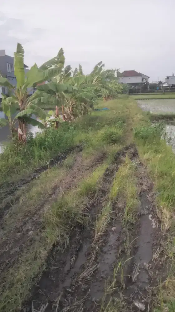 Di kontrakan tanah jalan Tukad Badung , DPS , Bali