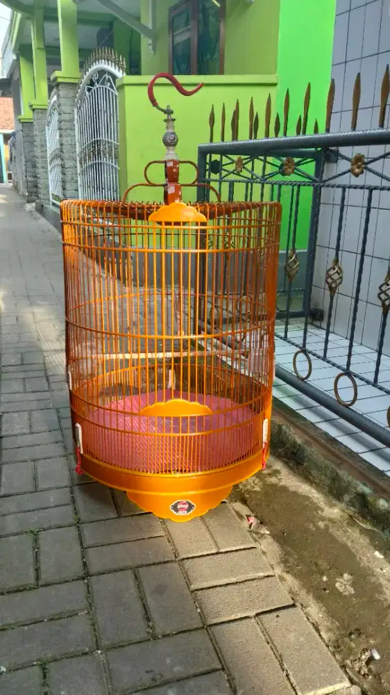 Sangkar murai oriq no1