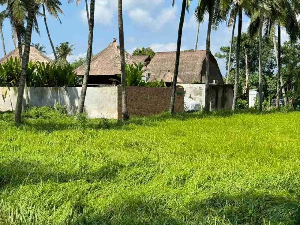 Tanah Strategis Lotunduh Ubud Bisa Beli 250m²