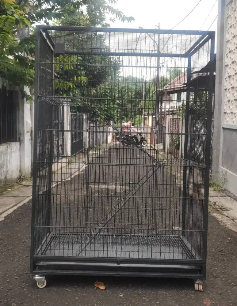 Kandang hewan (kucing)