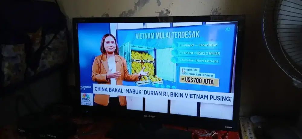 TV SHARP AQUOS 24 (analog)