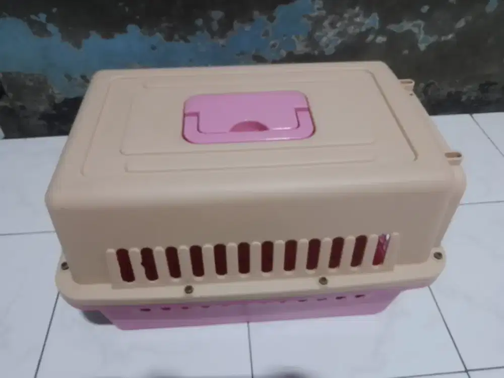 pet cargo binatang