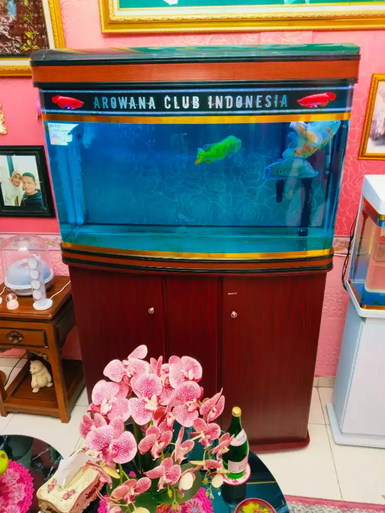 Aquarium Boyu + JBL external filter