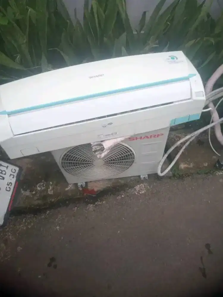 AC shap 1/2 pk sampe 1pk ORI Redy