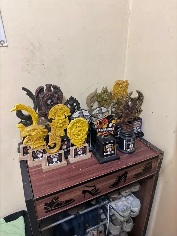 piala dan sertifikat lomba burung murai batu