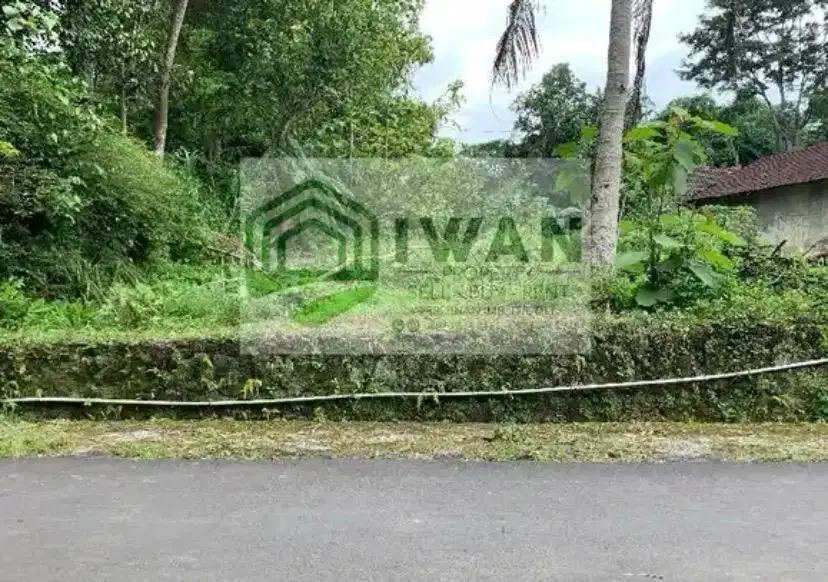Tanah Pekarangan Hadap Jalan Lebar Beriklim Sejuk